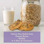 Oatey Raisin Mini Cookies 3-Pack