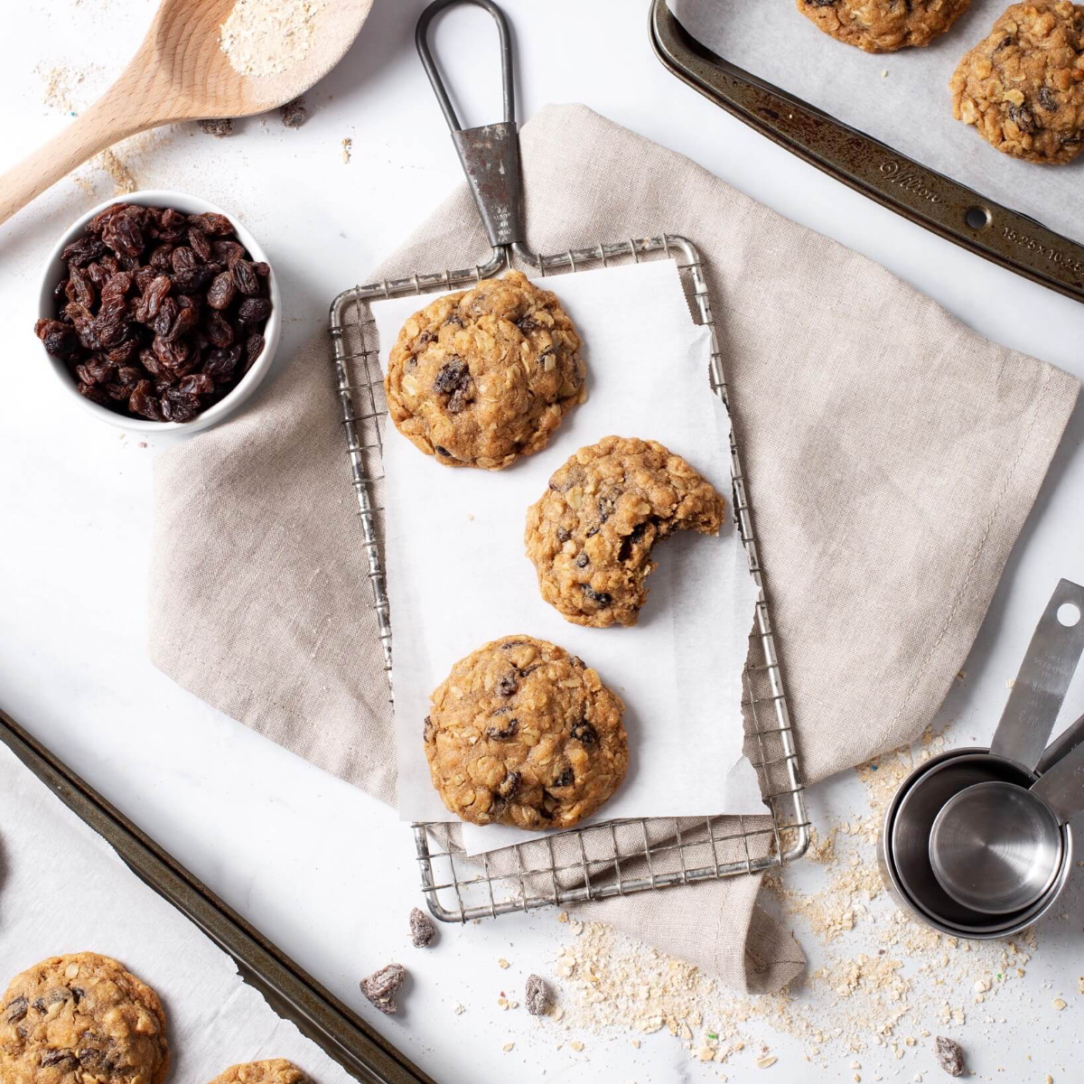 Oatey Raisin Cookie Mix 3-Pack