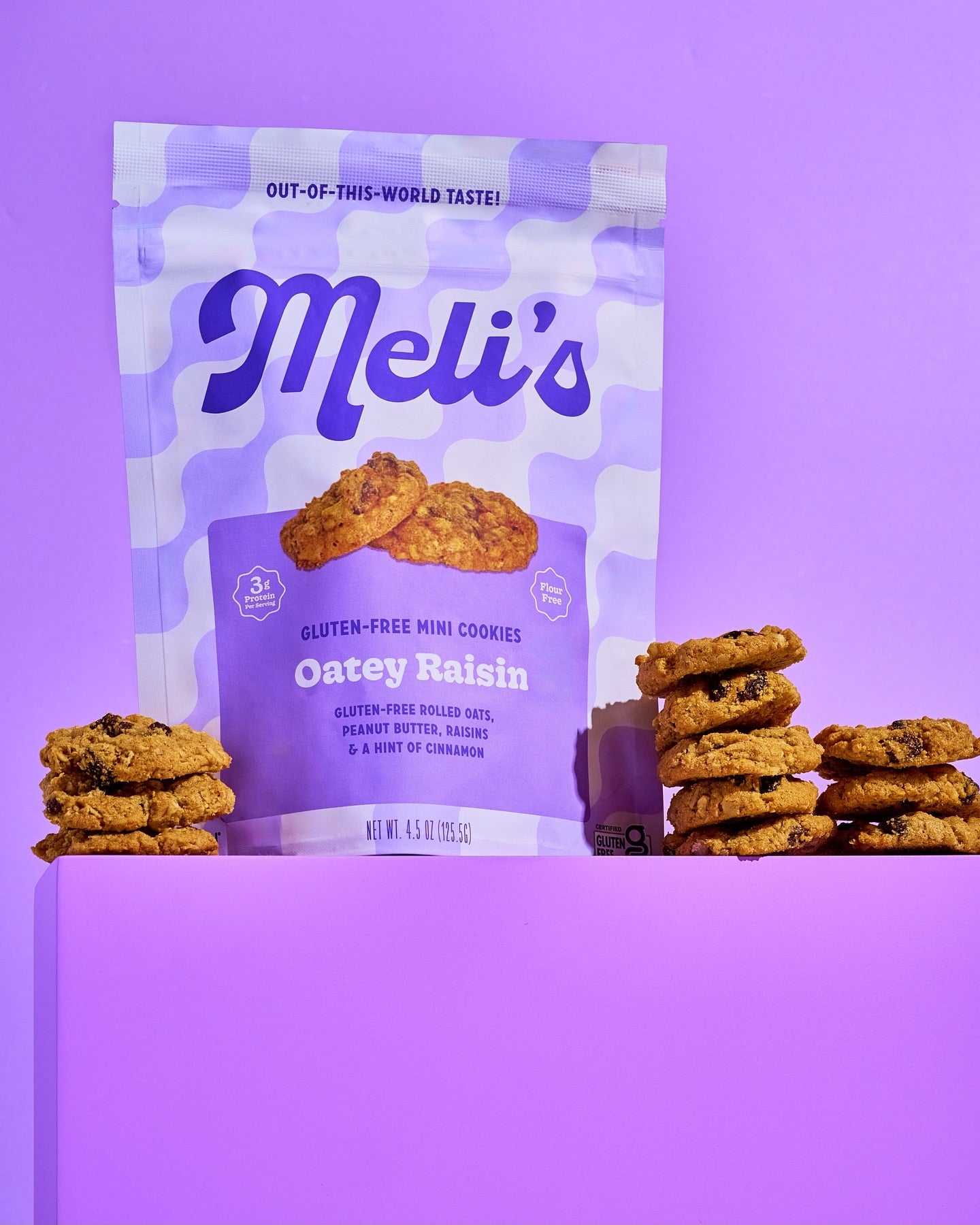 Oatey Raisin Mini Cookies 3-Pack