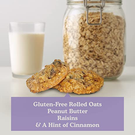 Oatey Raisin Mini Cookies 3-Pack